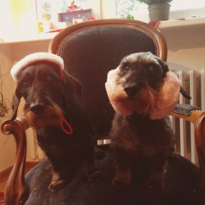 Ernesto und ich wünschen Frohe Weihnachten!!! Und einen leckeren Truthahn, von dem mir hoffentlich etwas übrig gelassen wird.
<br />
Weihnachten ist wirklich die schönste Zeit des Jahres, abgesehen vielleicht vom Welt-Süßigkeiten-Tag. Ernesto und ich wünschen Frohe Weihnachten!!! Und einen leckeren Truthahn, von dem mir hoffentlich etwas übrig gelassen wird.
<br />
Weihnachten ist wirklich die schönste Zeit des Jahres, abgesehen vielleicht vom Welt-Süßigkeiten-Tag.